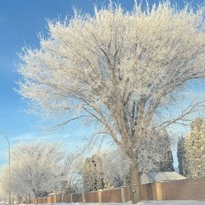 Meet your Posher, Maliha